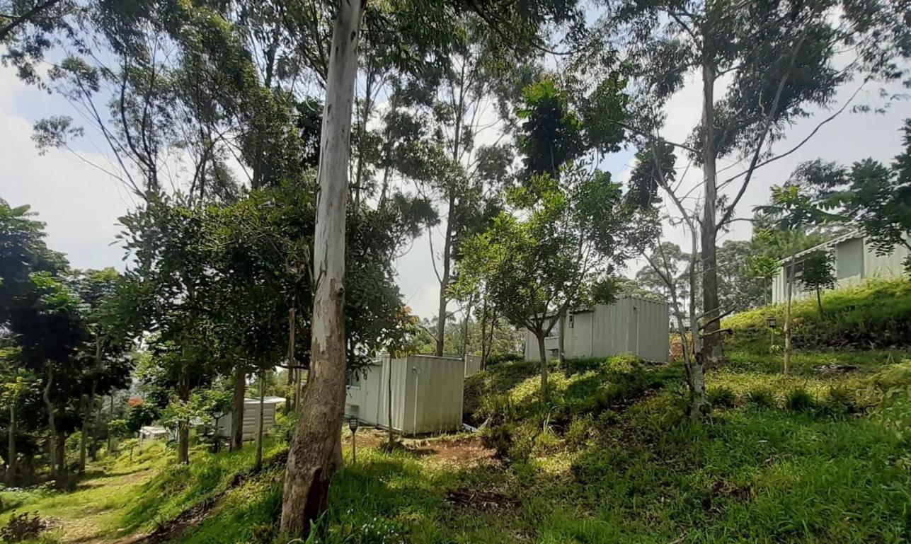 Hotel Bukit Pinus Tegalharendong Ngoại thất bức ảnh