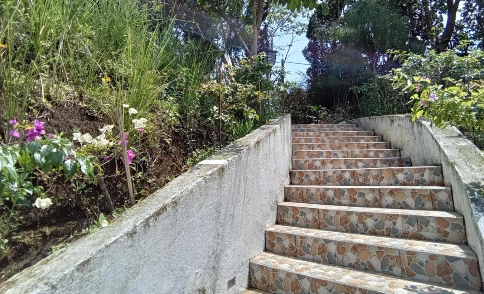 Hotel Bukit Pinus Tegalharendong Ngoại thất bức ảnh