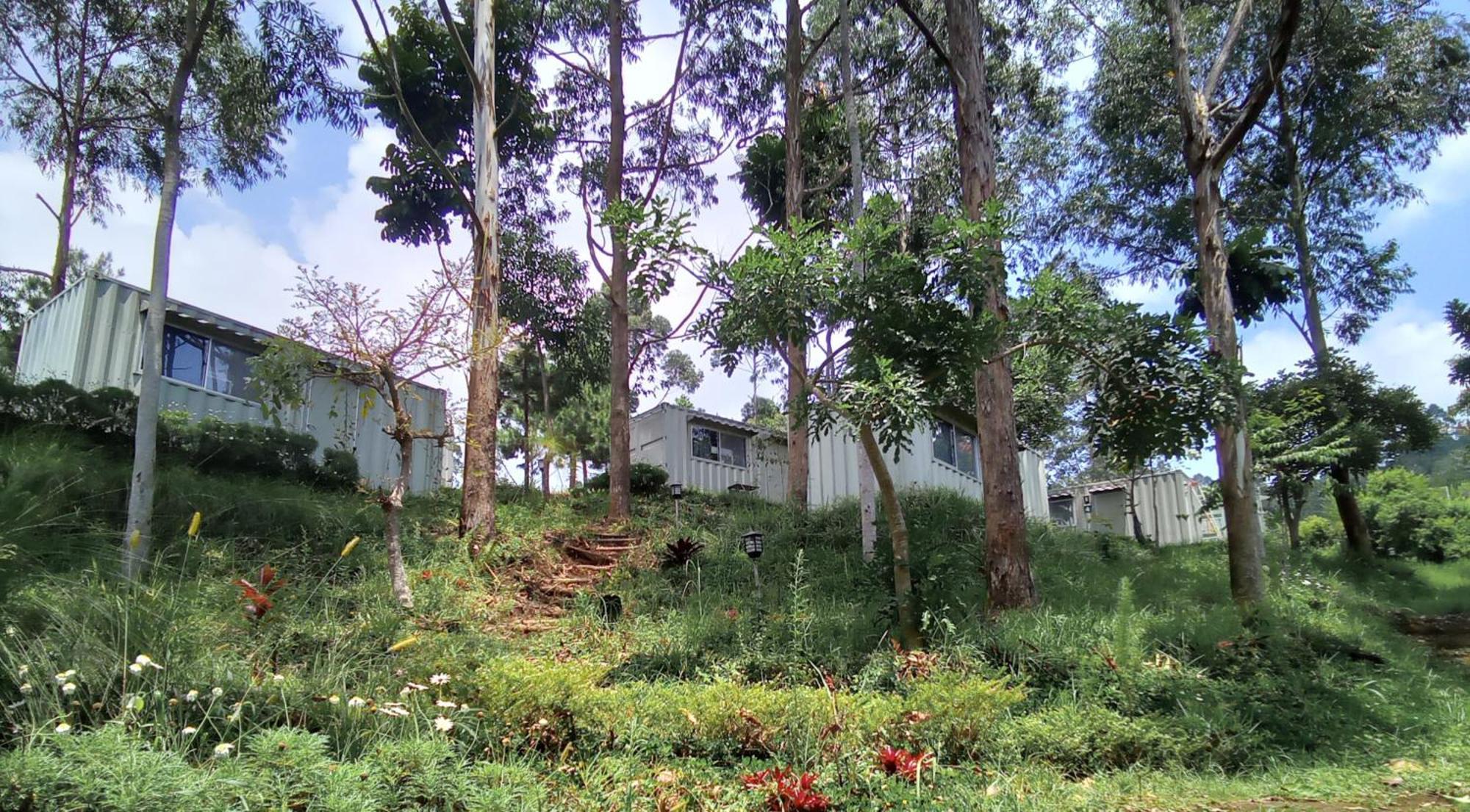 Hotel Bukit Pinus Tegalharendong Ngoại thất bức ảnh